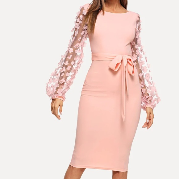 Dresses & Skirts - Pink mesh sleeve applique dress